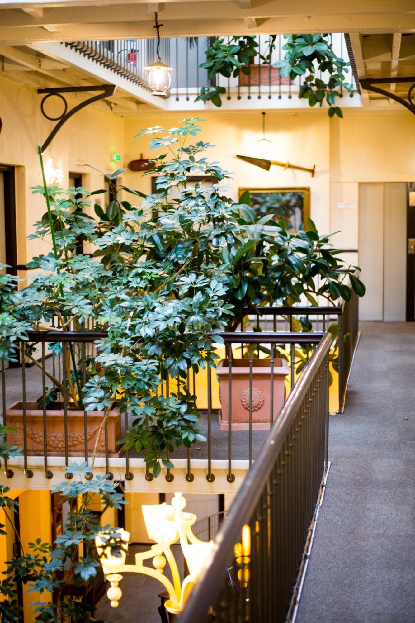 Grand Hotel D'Orleans Toulouse Ngoại thất bức ảnh